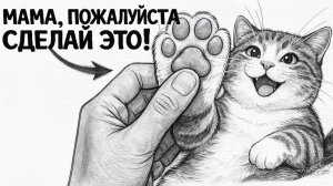 16 Вещей, которые Кошки Любят БОЛЬШЕ Ласки! (срочно сделай)