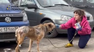 Реабилитация Фрэнка после перелома позвоночника