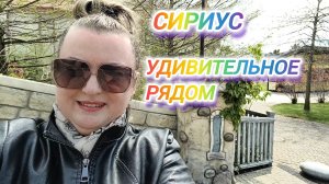 СИРИУС. УДИВИТЕЛЬНОЕ РЯДОМ