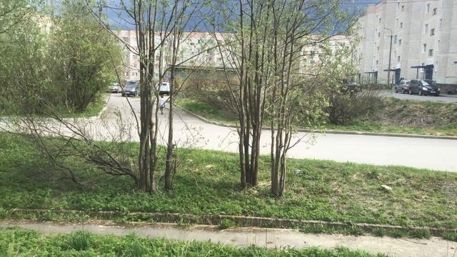 Влог 24 мая смотреть онлайн