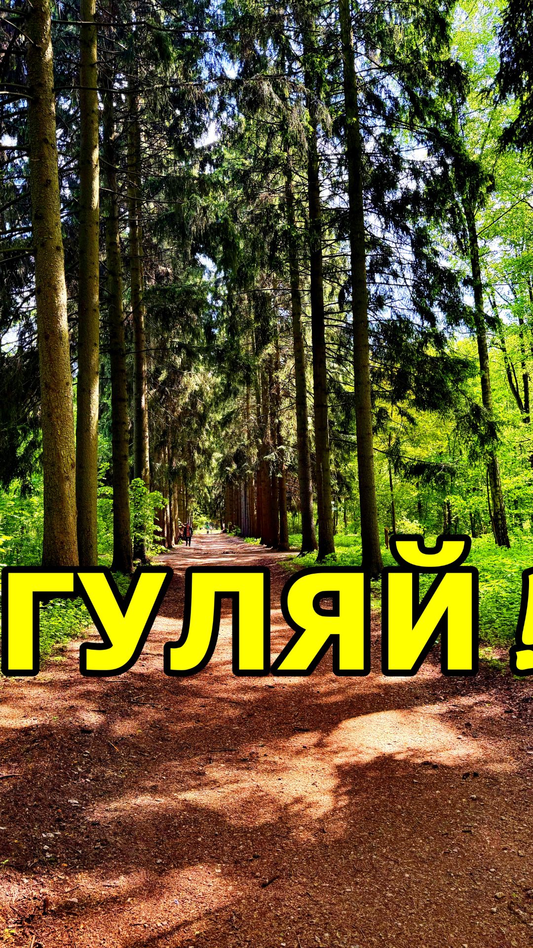 ГУЛЯЙ! смотреть онлайн