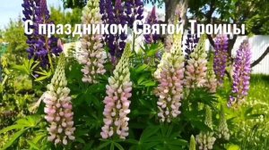 С праздником Святой Троицы!