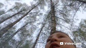 прятки в парке