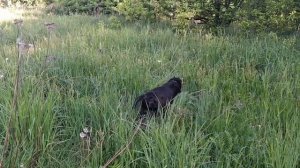 Жара# Моя любимочка#