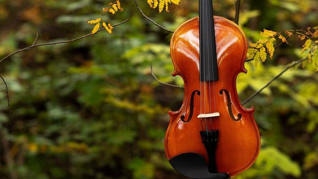 Классическая музыка | Скрипка музыка | Современная классика музыка