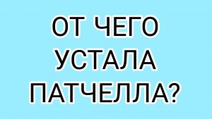 ПАТЧЕЛЛА собралась в «отпуск»