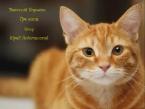 Виталий Парыгин - Про кота