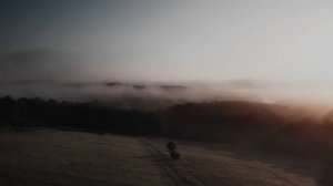 #5 Красивое Видео Природы