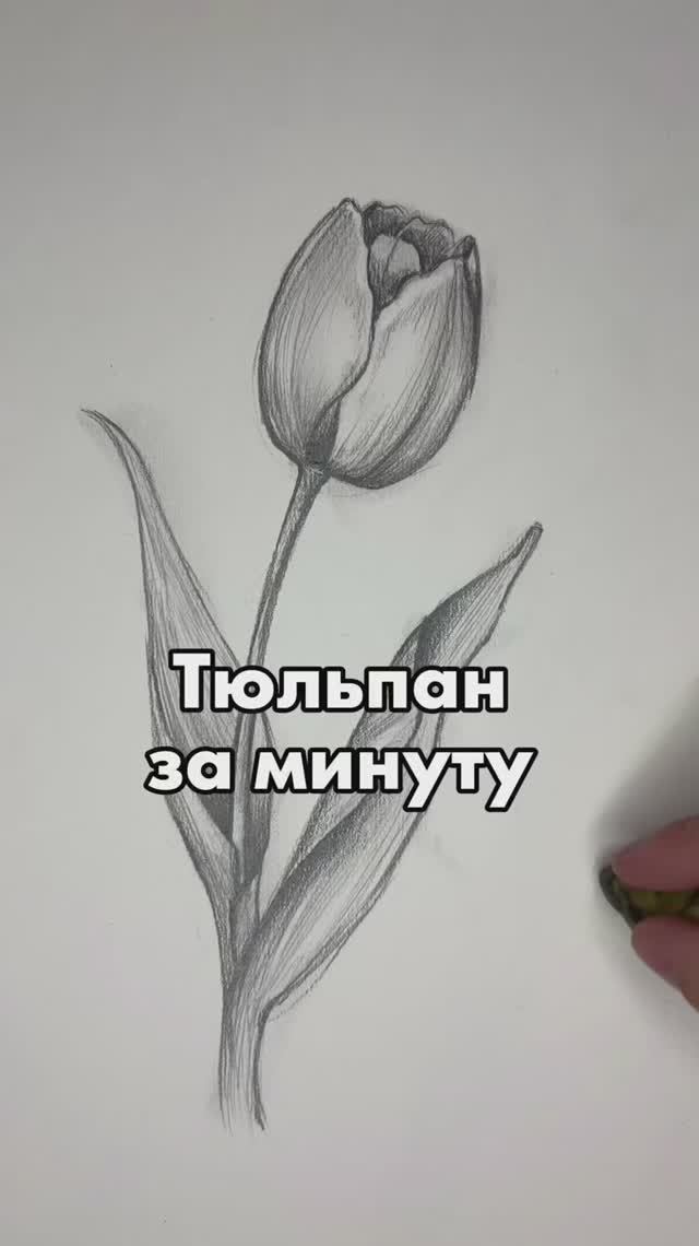 Тюльпан за минуту смотреть онлайн