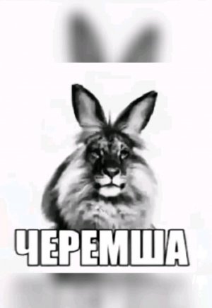 стрим