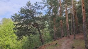 Отношение к деньгам и их роль в жизни человека
