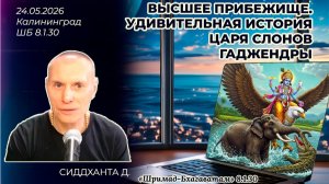 Высшее прибежище. Удивительная история царя слонов Гаджендры. Сиддханта. «Шримад-Бхагаватам» 8.1.30