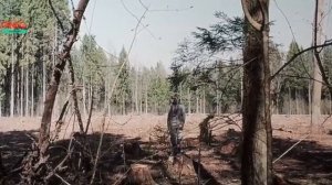 ФИЛЬМЫ НА ВЕЧЕР Оригинал:	Шурале Год:	2026 Время:	01:29:25 Страна:	Россия Жанр:	триллер фэнтези