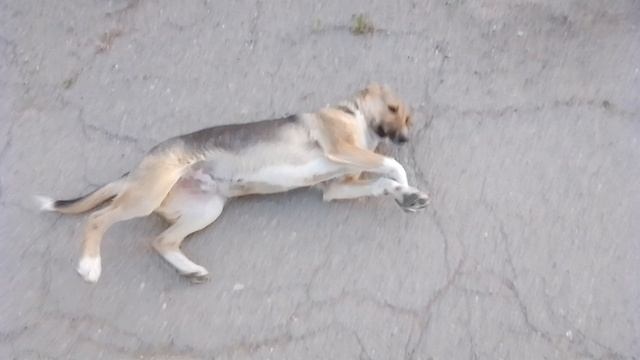 Какой ты классный! 13 серия. смотреть онлайн