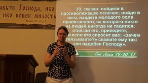 Осел по-новому