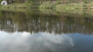 ТО ЧТО МЫ ВЫРЕЗАЛИ 2 из всех рыбацких поездок за последний год