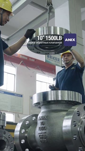 10'' 1500LB Сборка обратного клапана-ANIX