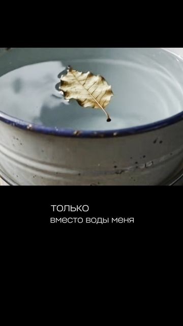 Радио / №1