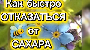 Как быстро отказаться от сахара.
Наблюдаю за пчёлкой...
