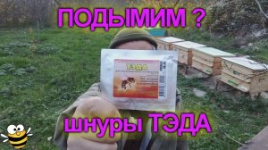 Шнуры ТЭДА #bee