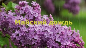 Майский дождь