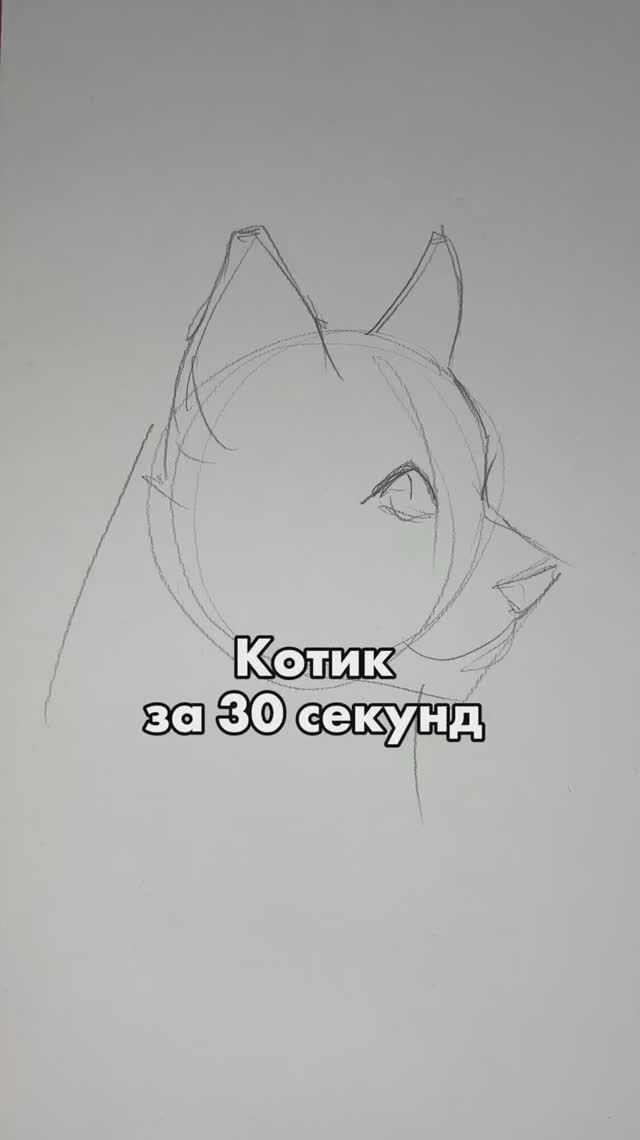 Котик 30 секунд смотреть онлайн