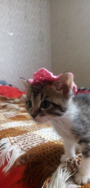 Привет я вика, часть 3