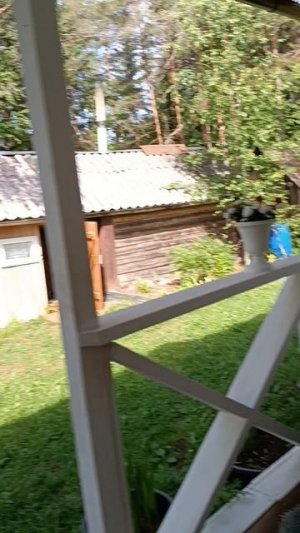 🏡 в деревне ,только так !