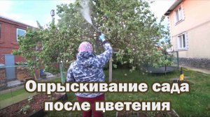 Опрыскивание сада от вредителей после цветения