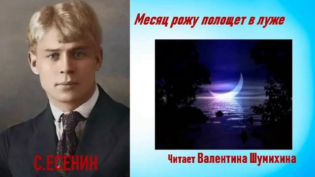 С.Есенин"Месяц рожу полощет в луже..." Читает Валентина Шумихина.