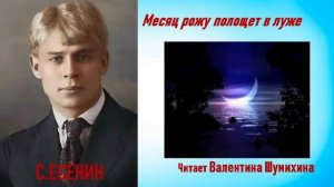 С.Есенин«Месяц рожу полощет в луже...» Читает Валентина Шумихина.