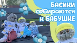 Что взять Басикам к бабушке
