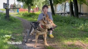 Новообразование у спинальника Мишани