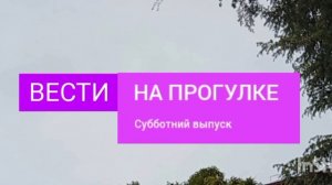 Шпигель вести на прогулке субботний выпуск
