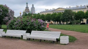 Санкт-Петербург. Прогулки по городу, сиреневое настроение.