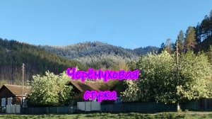 Черёмуховая стужа.