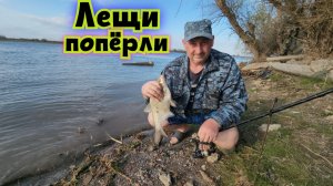 🐟Удача - мешок Леща и мелких Окуней поймали на Волге. Михалыч и Рыбалка в Астрахани-2026