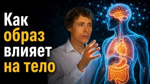 Может ли мозг «переписывать» внутренние органы?