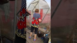 Продолжение: жара спала стало прохладнее,высаживаем цветочки 🌸🌸🌸