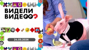 Видели видео? Выпуск от 24.05.2026
