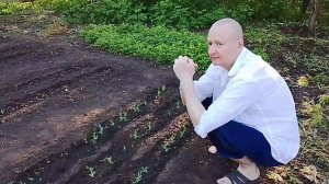 На даче хорошо и птички поют.