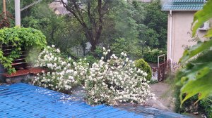 24-05 Сильный дождь☔🌧️