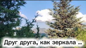 Друг для друга, как зеркала...