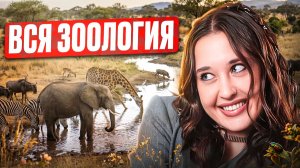 Вся зоология ЗА ОДИН РОЛИК / От простейших до млекопитающих / ЕГЭ по биологии 2026