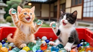 😻🎉 Забавные котята находят коробку с шариками