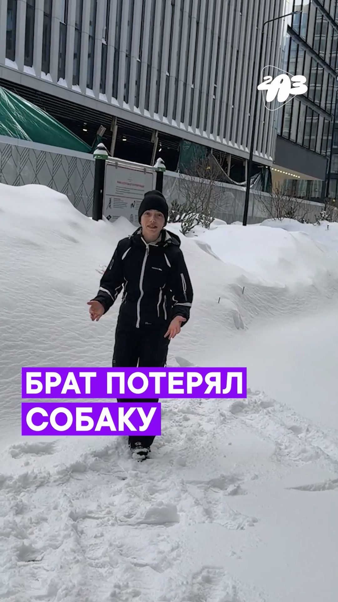 😡 Брат ПОТЕРЯЛ нашу СОБАКУ! Я в БЕШЕНСТВЕ смотреть онлайн
