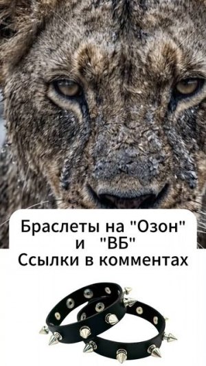🎵 ENIGMA Style Music 🔥 Пустынные Мечты
