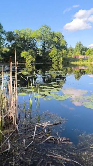 на рыбалке 🎣 Дмитрий из Тамбова 🐬