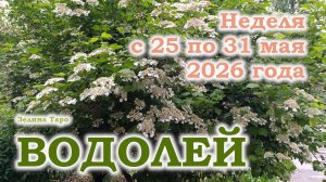 ВОДОЛЕЙ | ТАРО прогноз на неделю с 25 по 31 мая 2026 года