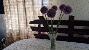 Третья неделя мая и наша деревенская жизнь.